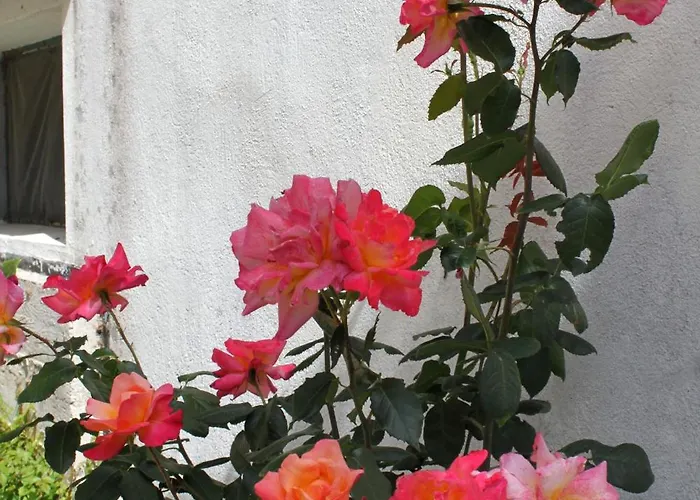 Ferienhaus Seaside House Milna, Hvar - 114