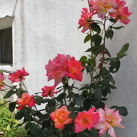 Tatil Evi Seaside House Milna, Hvar - 114