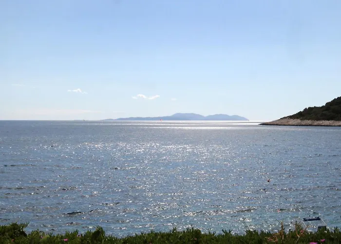 Tatil Evi Seaside House Milna, Hvar - 114